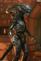 NECA Alien Earth Wendy’s Xenomorph Ultimate Action Figure