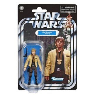 Star Wars The Vintage Collection Luke Skywalker Yavin Ceremony Exclusive HK Card-0