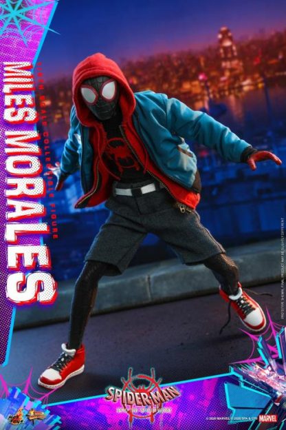Hot Toys Miles Morales Into The Spiderverse 1/6th Scale Figure -24215