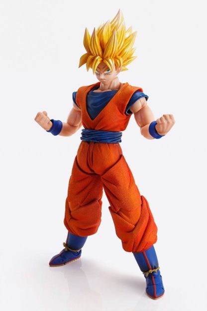 Dragon Ball Z Imagination Goku