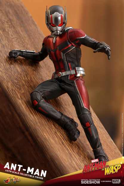 Hot Toys Ant-Man & The Wasp - Ant-Man 1/6 Scale Figure MMS497